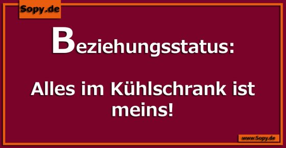 Beziehungsstatus: Nur der Kühlschrank gehört mir