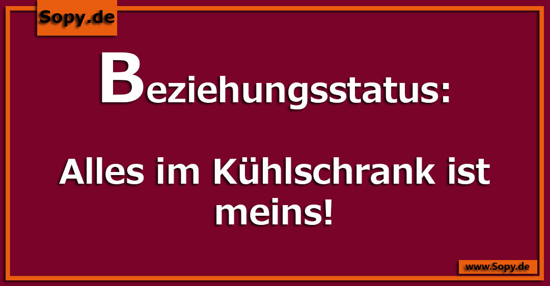 Voller Kühlschrank als einziger Besitz im aktuellen Beziehungsstatus