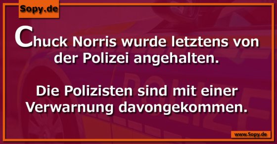 Chuck Norris Polizei