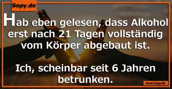 Alkoholabbau dauert 21 Tage? Das erklärt einiges!