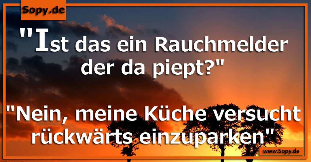 Lustiges Spruchbild zu Rauchmelder piept: Rauchmelder piept: "Ist das ein Rauchmelder der da piept?" "Nein, meine Küche versucht rückwärts einzuparken".