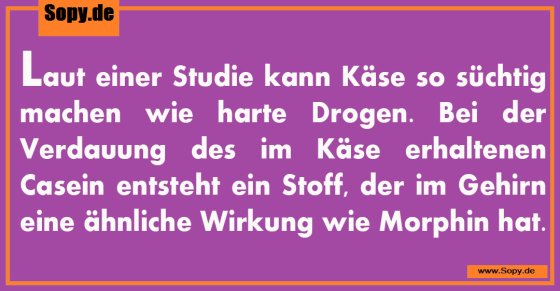 Käsesucht wissenschaftlich: So süchtig wie harte Drogen