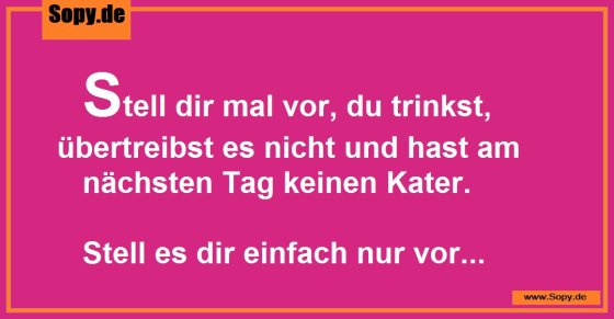 Keinen Kater