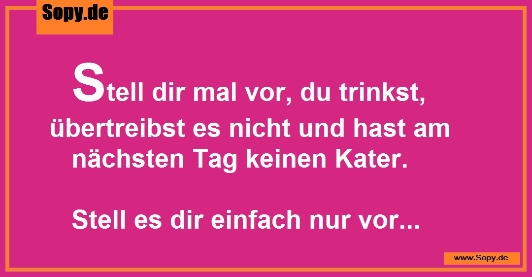 Lustiges Spruchbild zu Keinen Kater: Keinen Kater: Stell dir mal vor, du trinkst, übertreibst es nicht und hast am nächsten Tag keinen Kater. Stell es dir einfach nur vor...