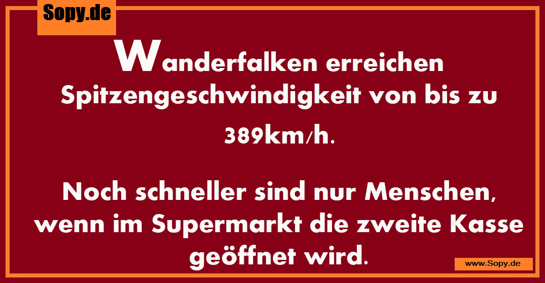 Lustiges Spruchbild zu Wanderfalken erreichen Spitzengeschwindigkeit: Wanderfalken erreichen Spitzengeschwindigkeit: Wanderfalken erreichen Spitzengeschwindigkeit von bis zu…