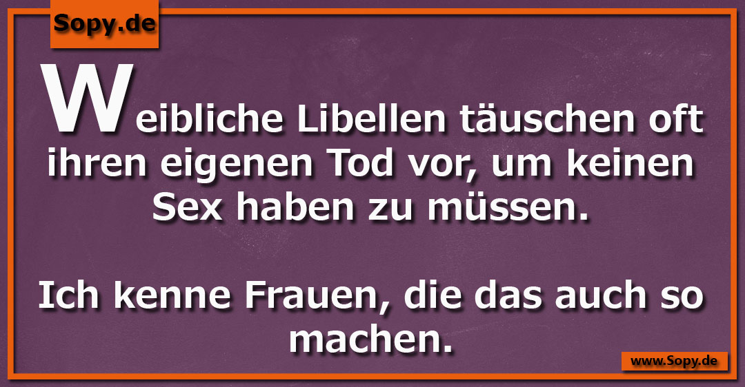 Lustiges Spruchbild zu Weibliche Libellen täuschen: Weibliche Libellen täuschen: Weibliche Libellen täuschen oft ihren eigenen Tod vor, um keinen Sex haben zu müssen. Ich kenne…