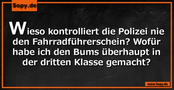 Fahrradführerschein: Nie kontrolliert, aber gemacht