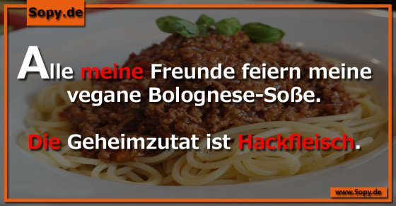 Kochschwindel enthüllt: Hackfleisch als Geheimzutat