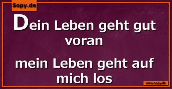 Alltagsvergleich: Dein Leben läuft, meins rebelliert