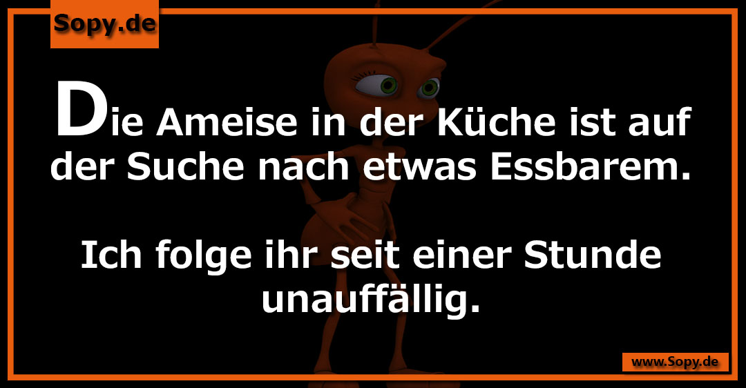 Lustiges Spruchbild zu Ameise in der Küche: Ameise in der Küche: Die Ameise in der Küche ist auf der Suche nach etwas Essbarem. Ich folge ihr seit einer Stunde unauffällig.