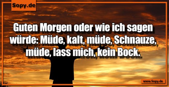 Morgenübersetzung: Müde, kalt, Schnauze, kein Bock