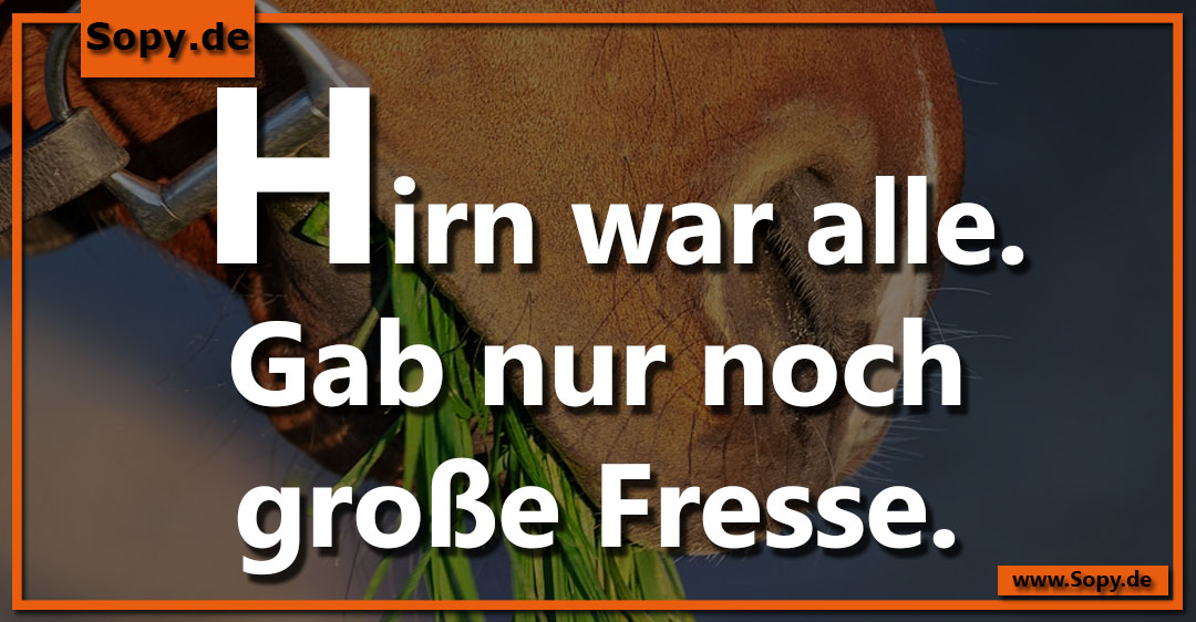 Lustiges Spruchbild zu Große Fresse: Große Fresse: Hirn war alle. Gab nur noch große Fresse.