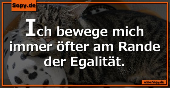 Alltagsgrenze humorvoll: Öfter am Rande der Egalität