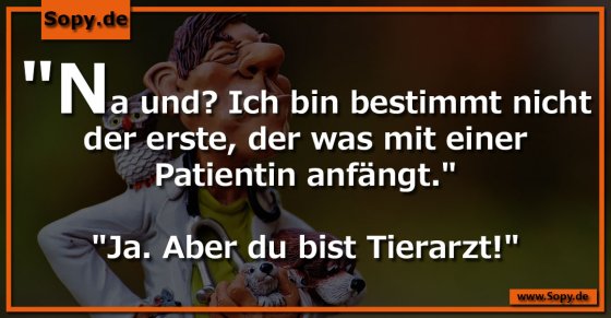 Du bist Tierarzt