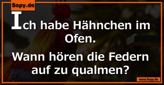Hähnchen im Ofen