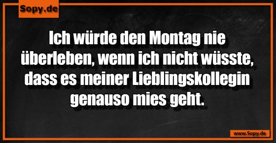 Kollegensolidarität rettet Montag durch geteiltes Leid
