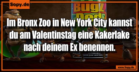 Rachefantasie kurios: Kakerlake nach Ex benennen