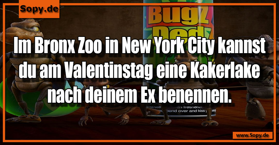 Kakerlake im Terrarium symbolisiert kuriose Rachefantasie zum Valentinstag im Zoo