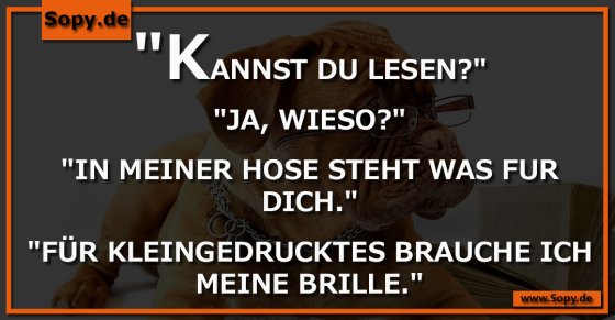 IN MEINER HOSE