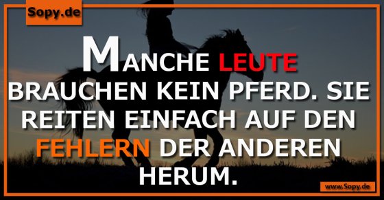Kritikreiten bissig: Kein Pferd, nur fremde Fehler