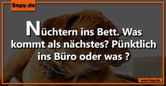 Nüchternheitswitz ironisch: Was kommt jetzt noch