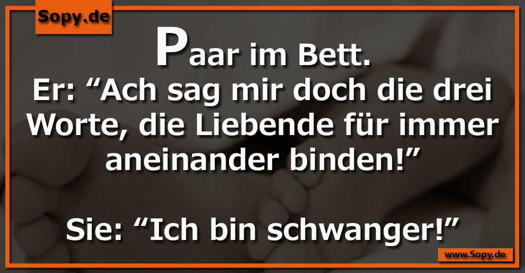 Lustiges Spruchbild zu Paar im Bett: Paar im Bett: Paar im Bett. Er: “Ach sag mir doch die drei Worte, die Liebende für immer aneinander binden!” Sie: “Ich bin schwanger!”
