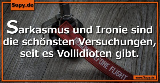 Sarkasmusliebe erklärt: Schönste Versuchung überhaupt