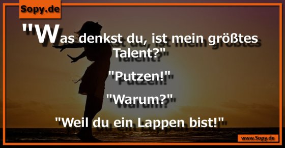 Beleidigungswitz clever: Putzen dank Lappen-Talent