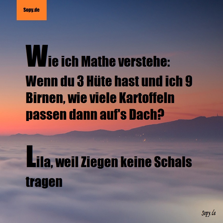 Lustiges Spruchbild zu Wie ich Mathe verstehe: Wie ich Mathe verstehe: [caption id="attachment_1894" align="alignnone" width="300"] Mathe[/caption] Wie ich Mathe verstehe: Wenn…