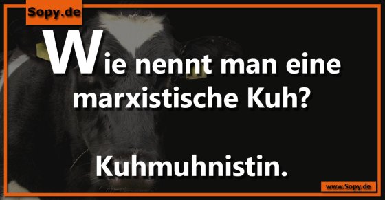 Marxistische Kuh