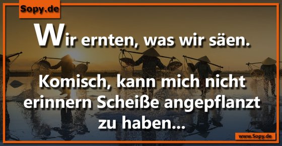 Wir ernten was wir säen