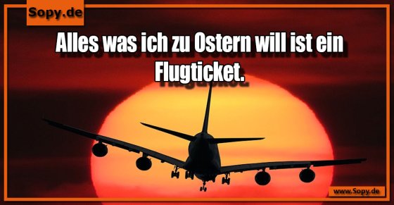 Osterwunsch minimalistisch: Nur ein Flugticket zählt