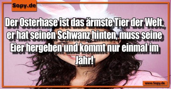 Osterhasenmitleid groß: Ärmstes Tier der ganzen Welt