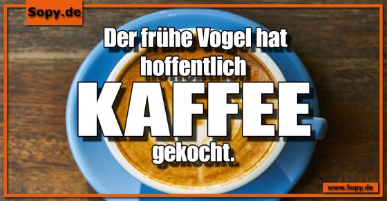 Frühaufsteher-Hoffnung: Vogel mit gekochtem Kaffee