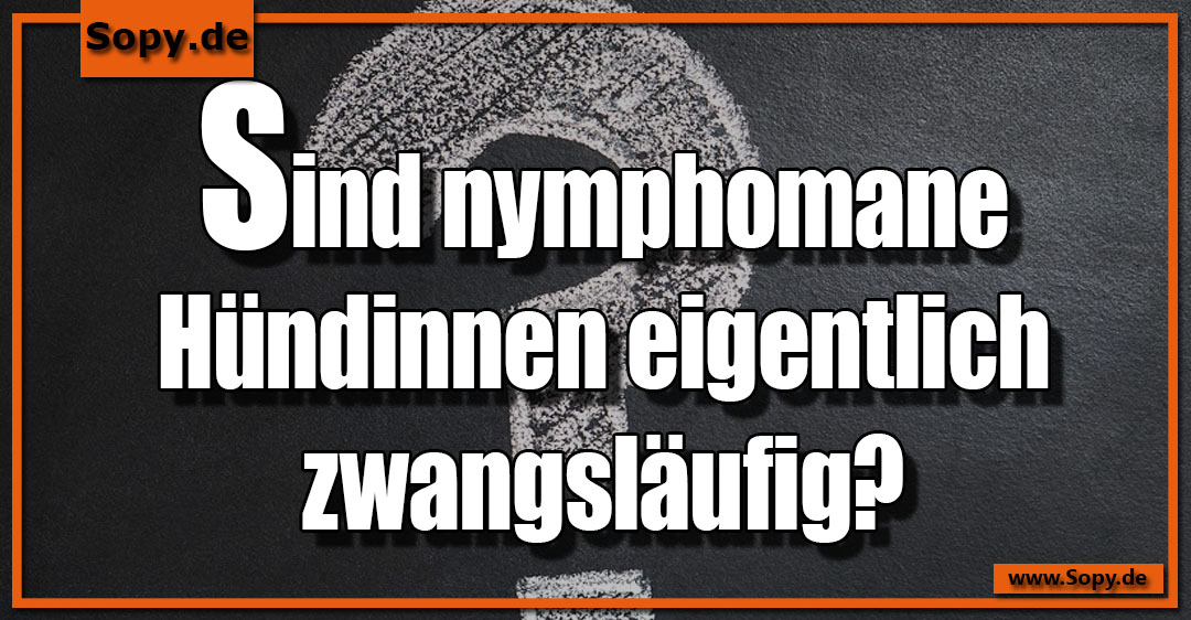 Lustiges Spruchbild zu Nymphomane: Nymphomane: Sind nymphomane Hündinnen eigentlich zwangsläufig?