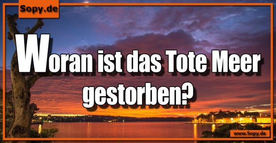 Tote Meer