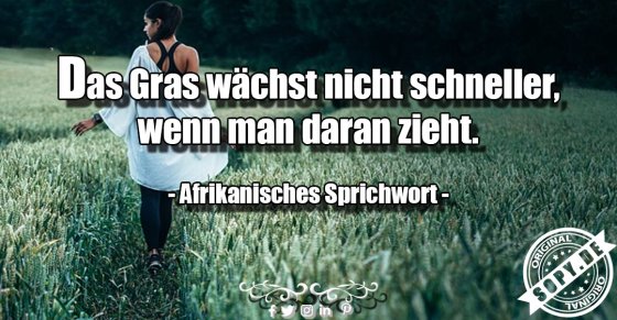 Das Gras wächst