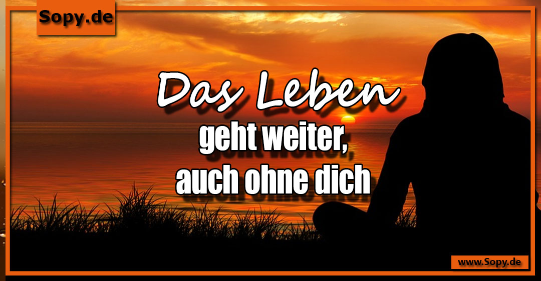 Lustiges Spruchbild zu Leben geht weiter: Leben geht weiter: Leben geht weiter Das Leben geht weiter, auch ohne dich.