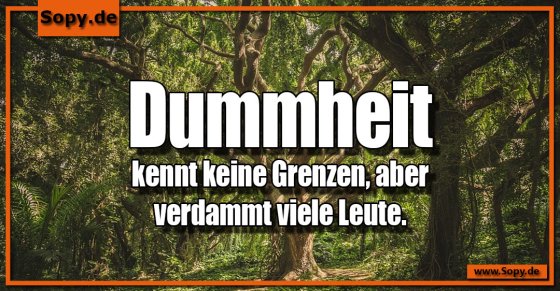 Dummheit kennt keine Grenzen, dafür viele Leute