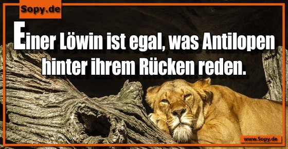 Löwin