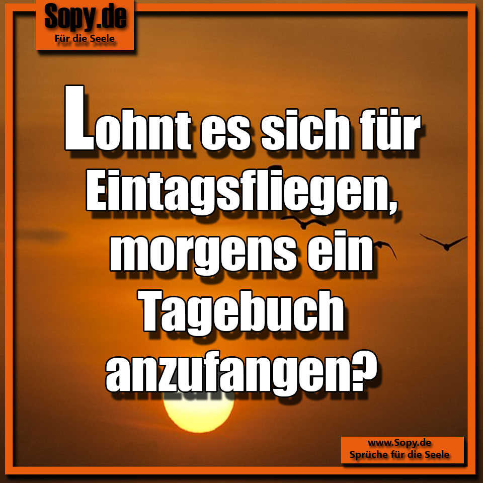 Lustiges Spruchbild zu Tagebuch: Tagebuch: Tagebuch Sprüche Lohnt es sich für Eintagsfliegen, morgens ein Tagebuch anzufangen?