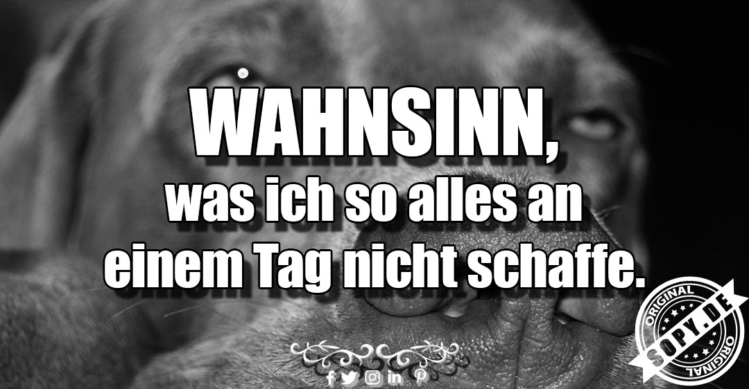 Lustiges Spruchbild zu an einem Tag: an einem Tag: an einem Tag Wahnsinn, was ich so alles an einem Tag nicht schaffe.