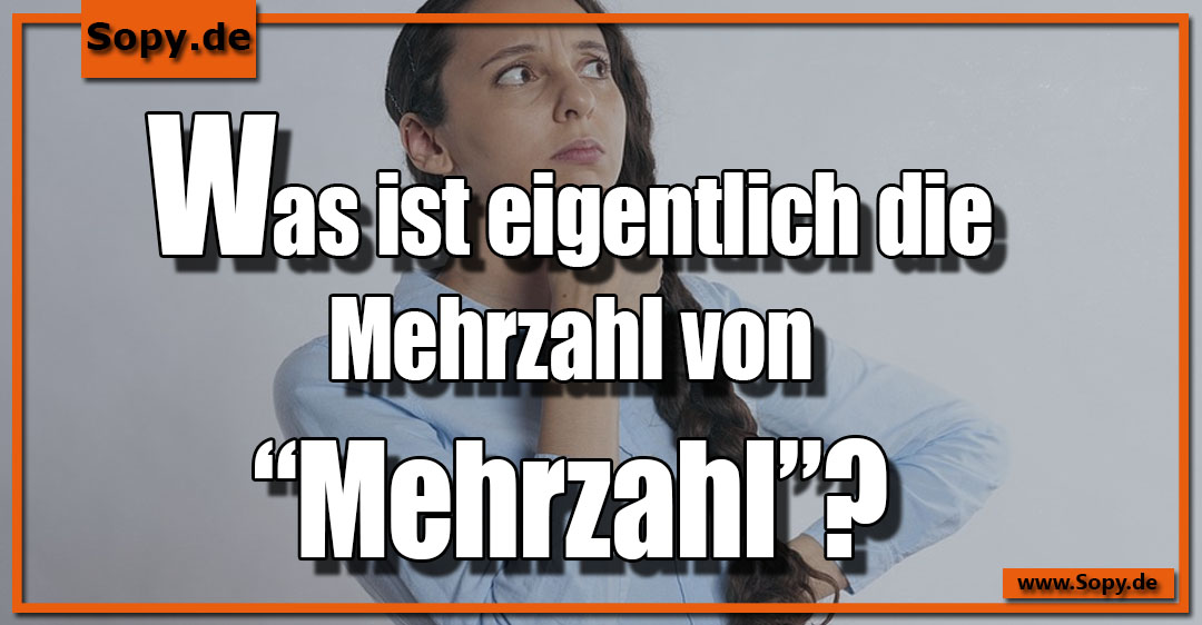 Lustiges Spruchbild zu Mehrzahl: Mehrzahl: Was ist eigentlich die Mehrzahl von “Mehrzahl”?
