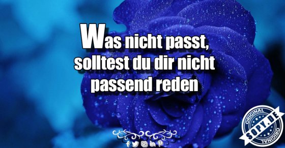 Ehrlichkeitsregel klar: Nicht passend reden was nicht passt