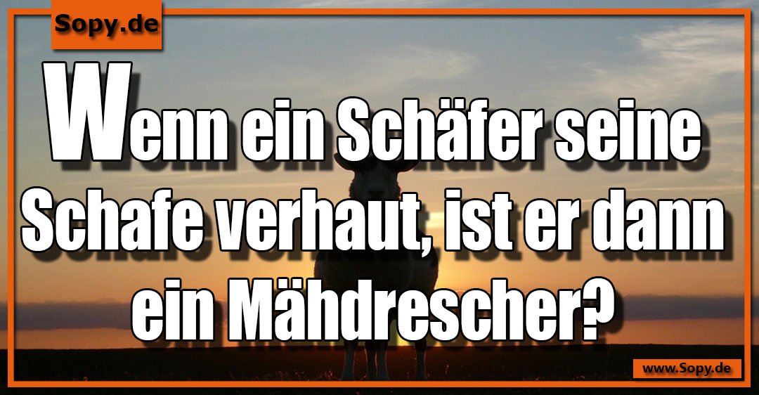 Lustiges Spruchbild zu Schäfer: Schäfer: Wenn ein Schäfer seine Schafe verhaut, ist er dann ein Mähdrescher?
