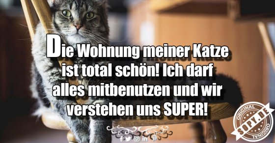 Die Wohnung meiner