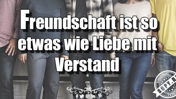 Freundschaftsdefinition klug: Liebe mit Verstand