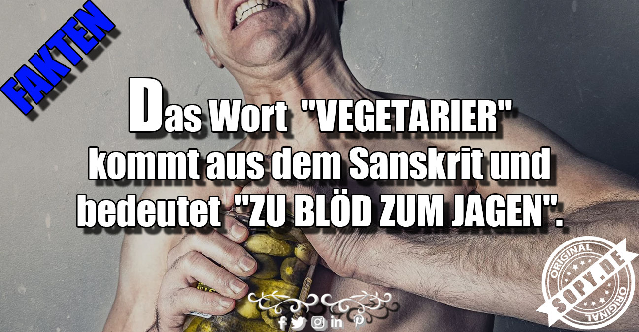 Lustiges Spruchbild zu Das Wort Vegetarier: Das Wort Vegetarier: Das Wort Vegetarier Das Wort "Vegetarier" kommt aus dem Sanskrit und bedeutet "zu blöd zum Jagen".