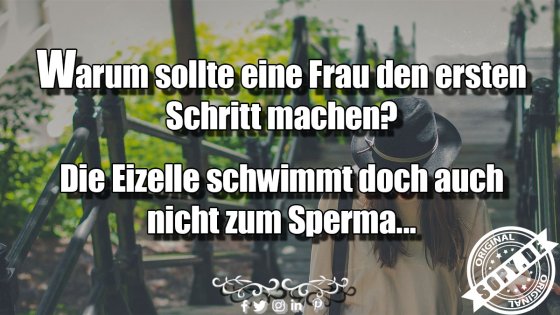 Datingfrage biologisch beantwortet: Eizelle bleibt ruhig