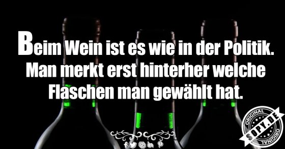 Weinvergleich zur Politik: Erst hinterher merkt man's
